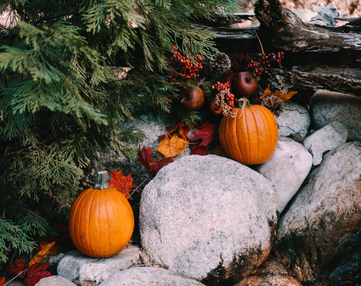 Pumpkins on rocks