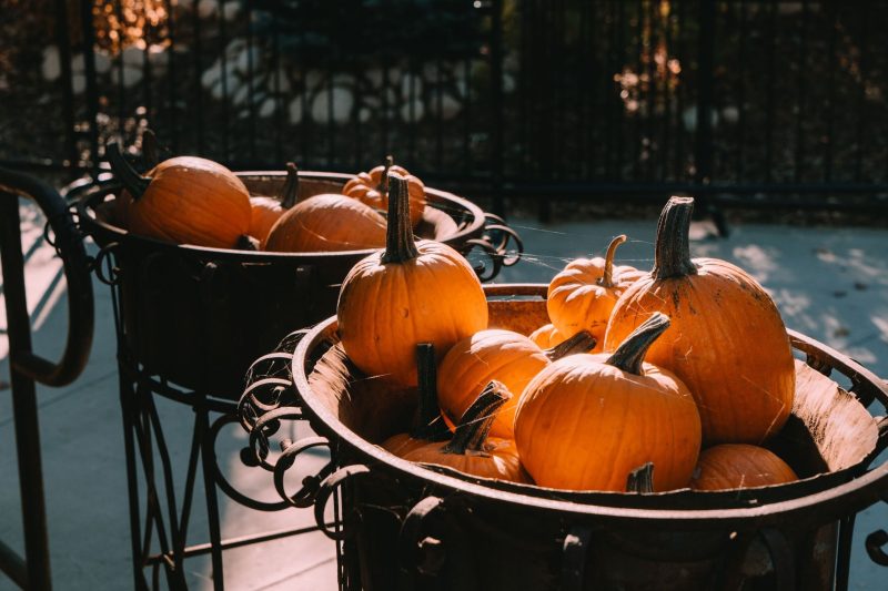 Pumpkins in wheelbarrow 