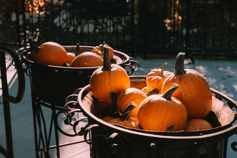 PUMPKINS IN THE PINES 2022 SkyPark at Santa's Village