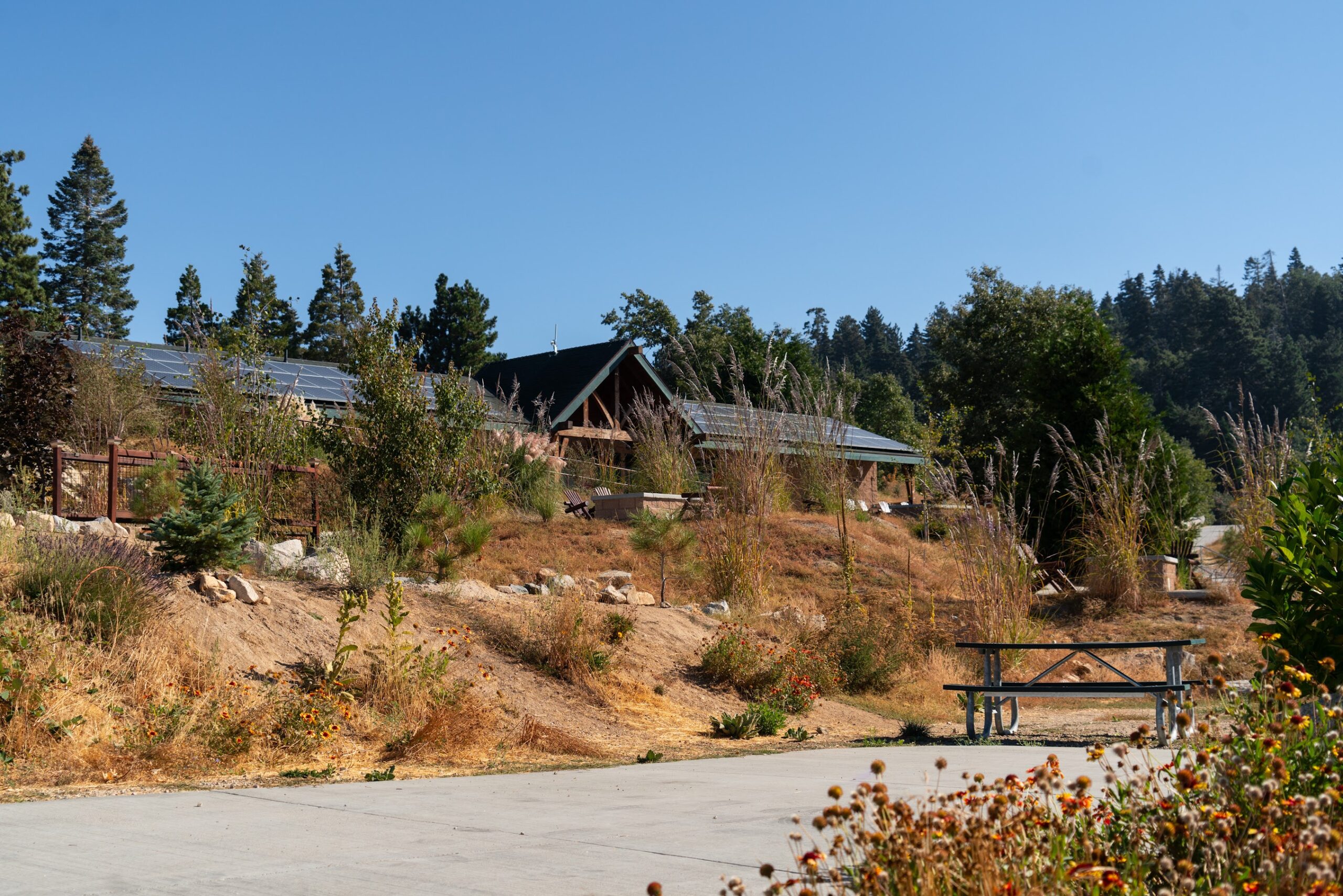 240919_RV Campground-04831