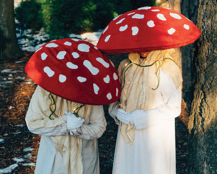 mushrooms